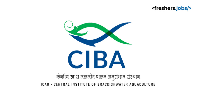 CIBA Recruitment