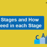 Career Stages and How to Succeed in each Stage