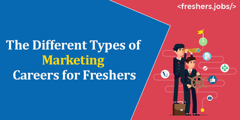 The Different Types of Marketing Careers for Freshers