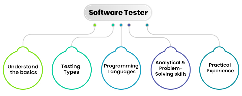 Software Testers