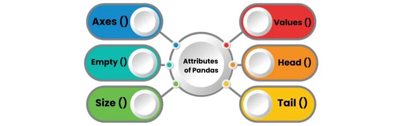 Attributes of Pandas