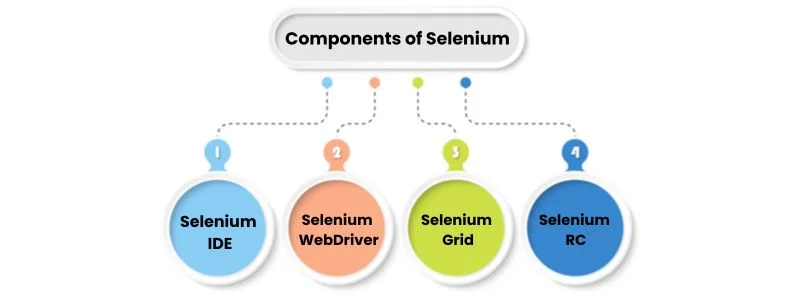 Components of Selenium