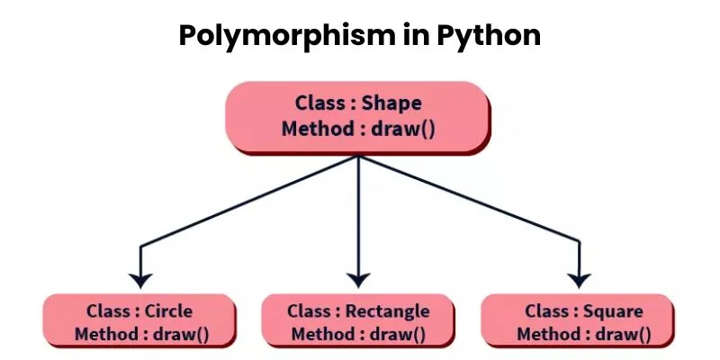 Polymorphism in Python