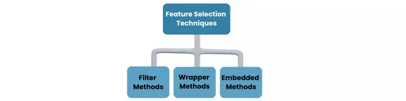 Feature Selection Techniques