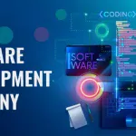 Key Benefits of Hiring a Custom Software Development Company for Your Business